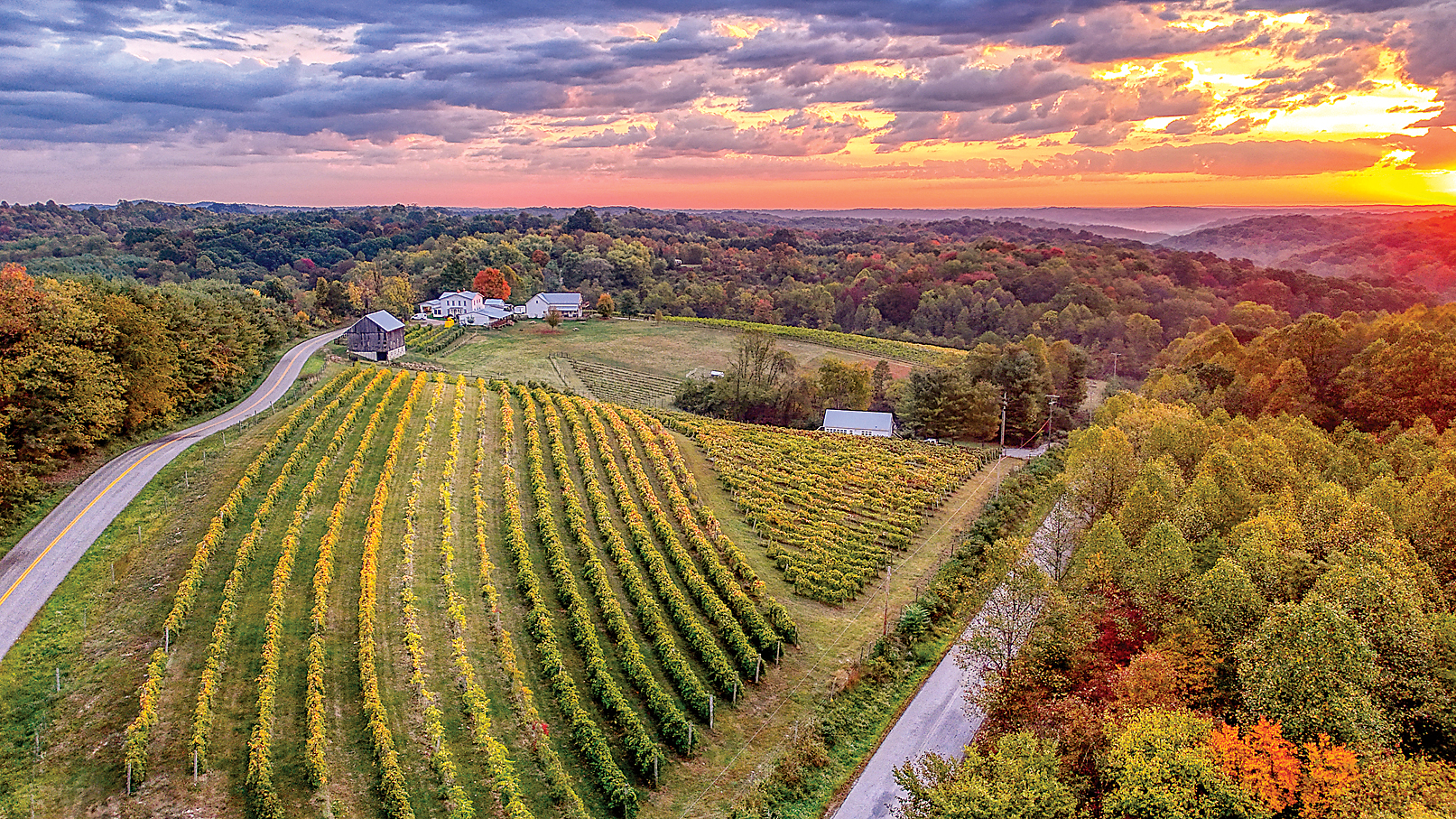 Le Petit Chevalier Vineyards and Farm Winery